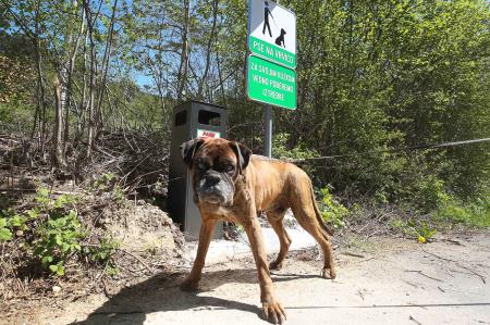 kOŠ CERKNICA PEŠČENK 06 FOTO LJUBO VUKELIČ